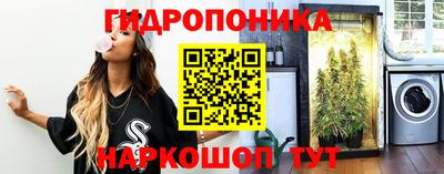 хмурый Заводоуковск