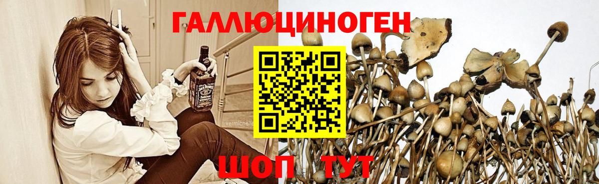 Псилоцибиновые грибы Magic Shrooms  Галлюциногенные грибы Cubensis  Вход с VPN  где продают наркотики  Миасс 