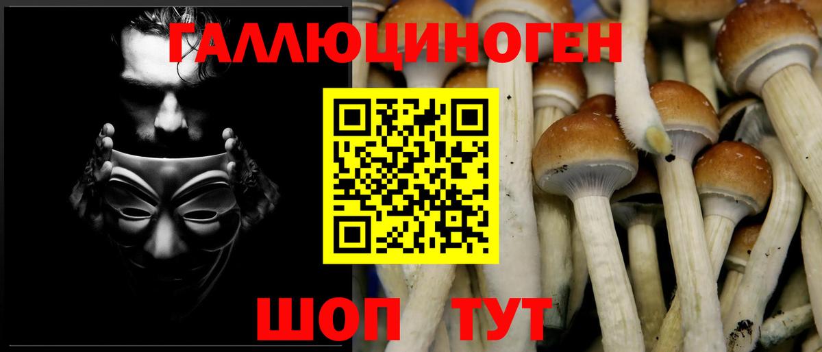 Галлюциногенные грибы Psilocybine cubensis Миасс